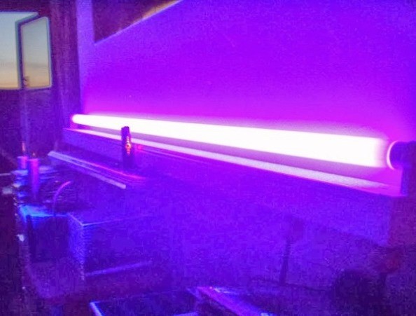 Đèn UV. Ảnh: Internet Đèn UV. Ảnh: Internet