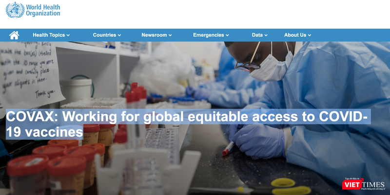 Chương trình COVAX Facility được phát triển nhằm tăng cường tối đa tiến trình phát triển và sản xuất vaccine phòng COVID-19 trên toàn cầu (Ảnh: Minh Thúy) Chương trình COVAX Facility được phát triển nhằm tăng cường tối đa tiến trình phát triển và sản xuất vaccine phòng COVID-19 trên toàn cầu (Ảnh: Minh Thúy)