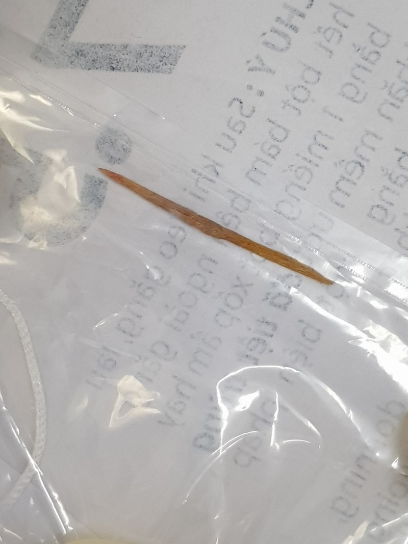 Chiếc tăm tre được lấy ra sau khi đâm thủng ruột non của bệnh nhân (Ảnh: Bệnh viện Hữu nghị Việt Đức)