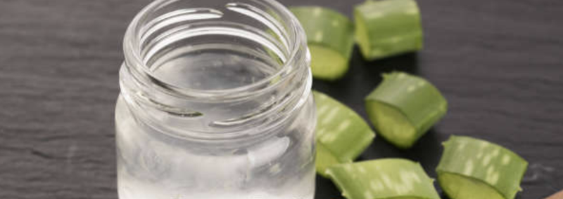 Nha đam (Ảnh: BoldSky)