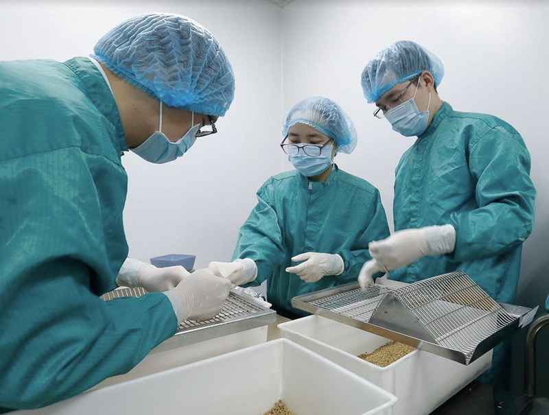Cán bộ nghiên cứu vaccine phòng COVID-19 trên chuột (Ảnh: VABIOTECH)