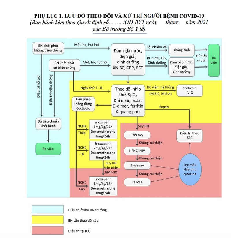 Lưu đồ theo dõi, xử trí bệnh nhân COVID-19 (Ảnh - MT)