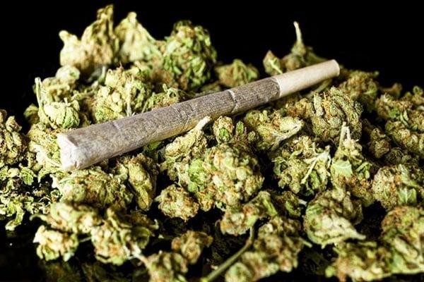 Cần sa là một chất kích thích, chất gây nghiện, thường được sử dụng bằng cách cuốn vào tờ giấy trắng hoặc nhồi trong điếu thuốc lá, điếu thuốc lào để hút. (Ảnh minh họa. Nguồn: Internet) Cần sa là một chất kích thích, chất gây nghiện, thường được sử dụng bằng cách cuốn vào tờ giấy trắng hoặc nhồi trong điếu thuốc lá, điếu thuốc lào để hút. (Ảnh minh họa. Nguồn: Internet)