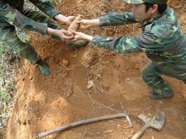 Những “thần chết” đang chốn trong đất và bị các chiến sĩ công binh Lữ đoàn 299 phát hiện, xử lý. Những “thần chết” đang chốn trong đất và bị các chiến sĩ công binh Lữ đoàn 299 phát hiện, xử lý.