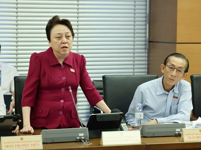 Đại biểu Phạm Khánh Phong Lan. Ảnh: P.Đ. Anh 1.jpg
