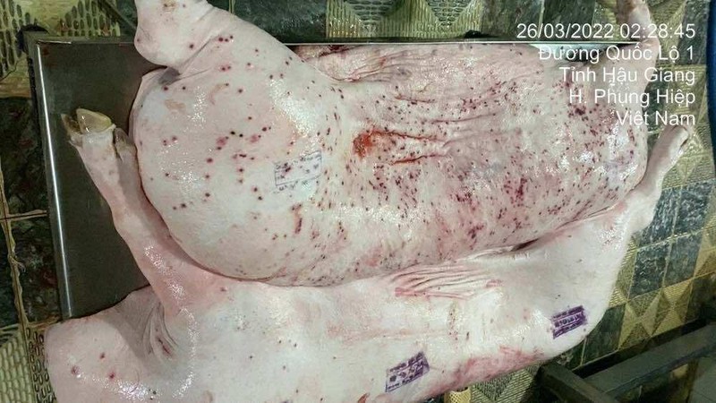 Người dân đăng tải tố cáo Công ty C.P Việt Nam bị tố bán "thịt bẩn". Ảnh: F.B. Anh 1.jpg