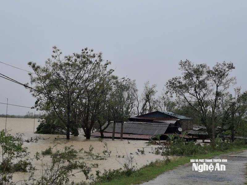 Tại xóm Xuân Lam 9, xã Hưng Nguyên Nam, Nghệ An, nhiều hộ dân sống sát bờ đê sông Lam đã bị nước lũ dâng ngập đến tận mái nhà. Ảnh: Báo Nghệ An. Anh 1.jpg