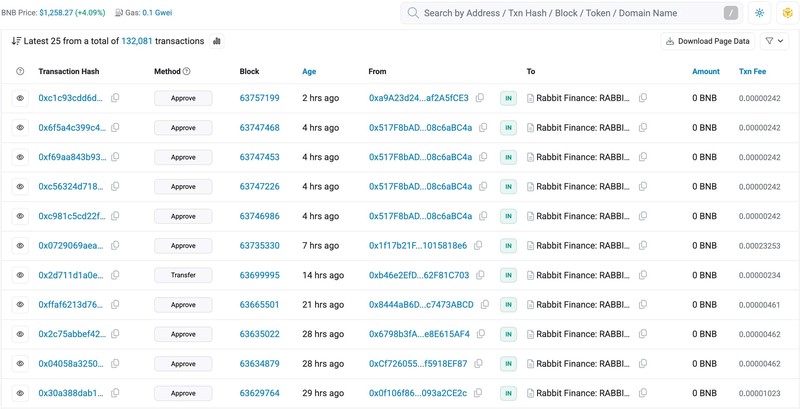 Token Rabbit trên BscScan của Binance vẫn thấy có lượt token transfers (chuyển token) nhưng giá trị và khối lượng hầu như không đáng kể và bằng 0. Anh 1.jpeg