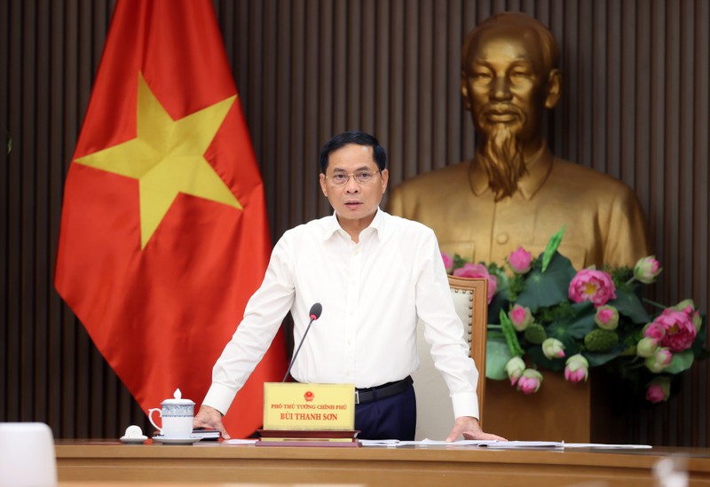 Phó thủ tướng Bùi Thanh Sơn phát biểu chỉ đạo. Ảnh: VGP. a-a13i3098-1760363138785742040748.jpg