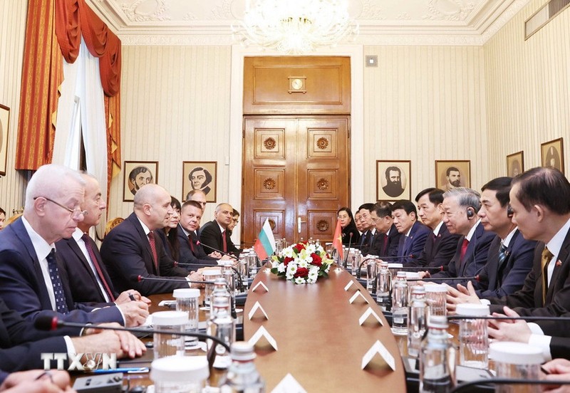 Tổng bí thư Tô Lâm và Tổng thống Bulgaria Rumen Radev hội đàm chính thức. Ảnh: Thống Nhất/TTXVN Anh 1.jpg