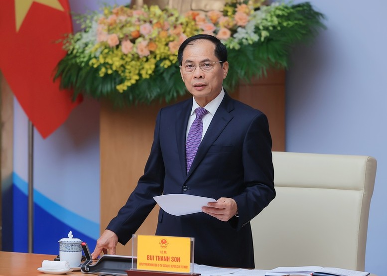 Phó thủ tướng Bùi Thanh Sơn. Ảnh: VGP. Anh 1.jpg