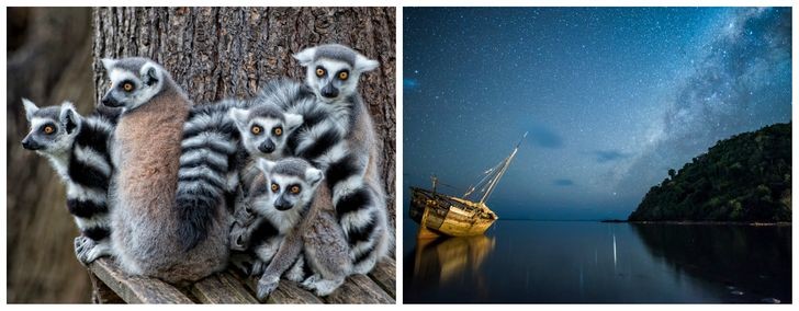 Ảnh: Brightside Ảnh: Brightside