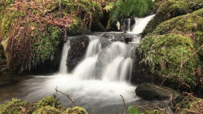 Ảnh: Digitalcameraworld Ảnh: Digitalcameraworld