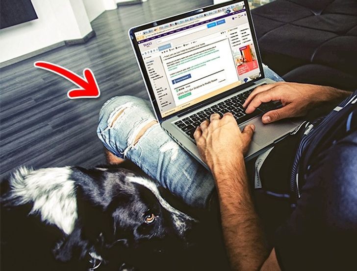 Ảnh: Brightside Ảnh: Brightside