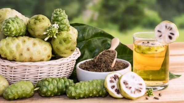 Quả nhàu mang đến nhiều lợi ích cho sức khỏe. Ảnh: Boldsky Quả nhàu mang đến nhiều lợi ích cho sức khỏe. Ảnh: Boldsky