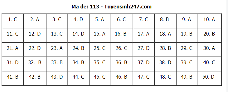 Đáp án tham khảo đề thi tốt nghiệp THPT năm 2020 môn Toán mã đề 113. Nguồn: TTHN