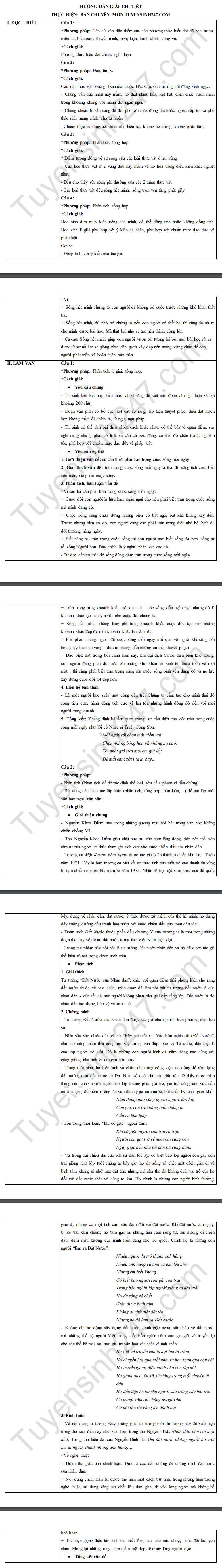 Đáp án tham khảo đề thi tốt nghiệp THPT năm 2020 môn Ngữ Văn. Nguồn: TTHN