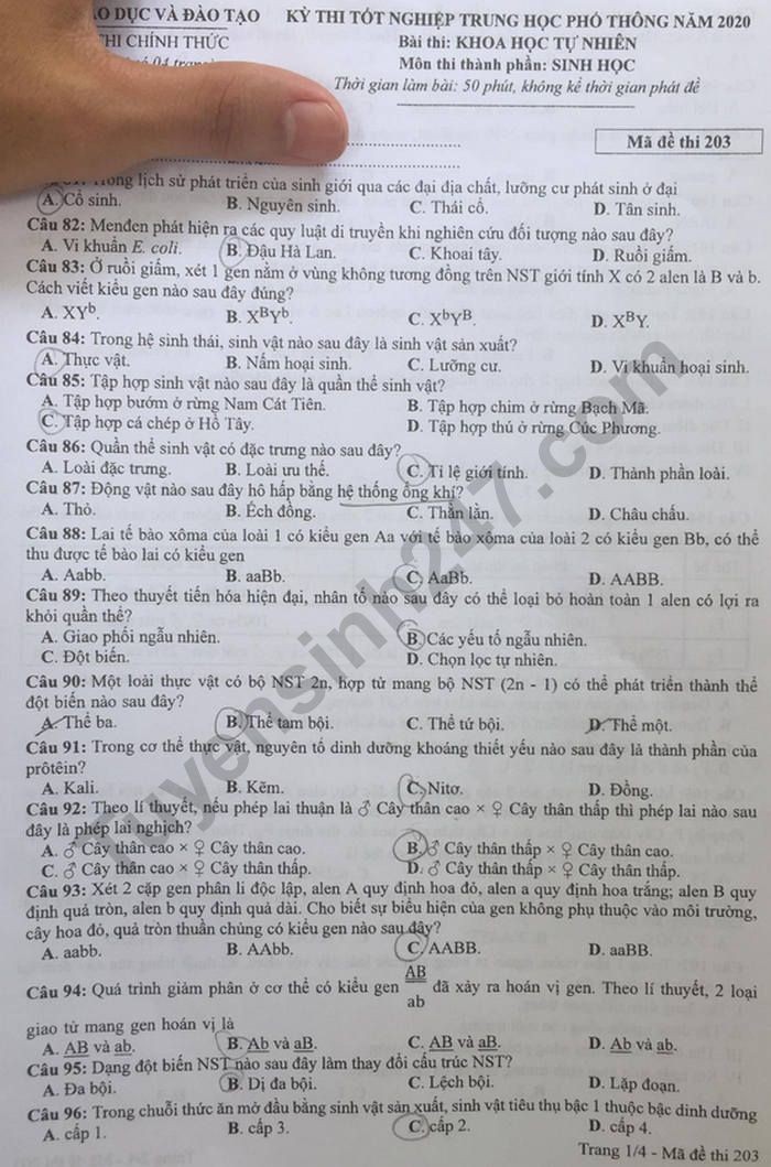 Đề thi tốt nghiệp THPT năm 2020 môn Sinh học mã đề 203. Nguồn: TTHN Đề thi tốt nghiệp THPT năm 2020 môn Sinh học mã đề 203. Nguồn: TTHN