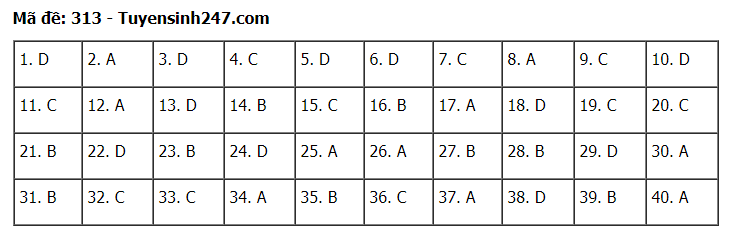 Đáp án tham khảo đề thi tốt nghiệp THPT năm 2020 môn Lịch Sử mã đề 313. Nguồn: TTHN Đáp án tham khảo đề thi tốt nghiệp THPT năm 2020 môn Lịch Sử mã đề 313. Nguồn: TTHN