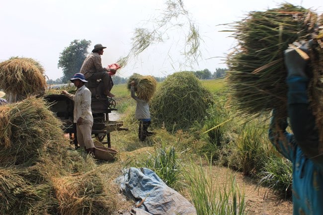 Chuyên gia cho rằng Việt Nam không nên chỉ dựa vào chính sách tỷ giá để duy trì sức cạnh tranh trên thị trường xuất khẩu.