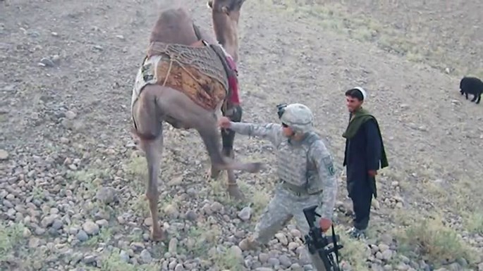 Lạc đà Afghanistan đá lính Mỹ té nhào ảnh 1