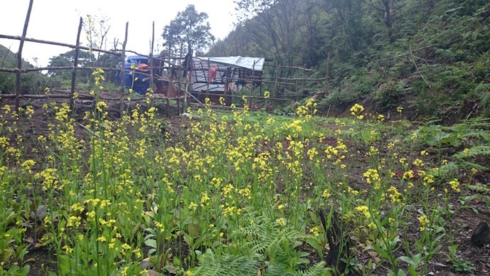 Thâm nhập đường dây phá rừng: “Phù phép” gỗ rừng thành gỗ nhà ảnh 1