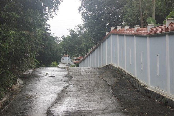 Tường phủ dài hun hút - Ảnh: Lê Đình Dũng.