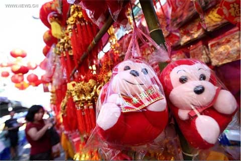 Xem người dân các nước tưng bừng đón Tết Bính Thân ảnh 4