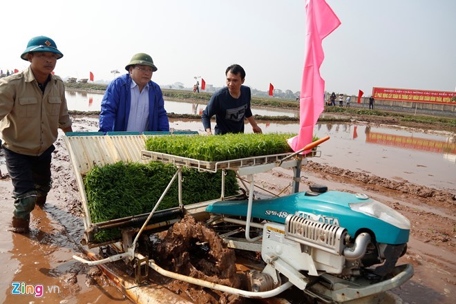 Bí thư Hà Nội xắn quần đi cấy đầu năm