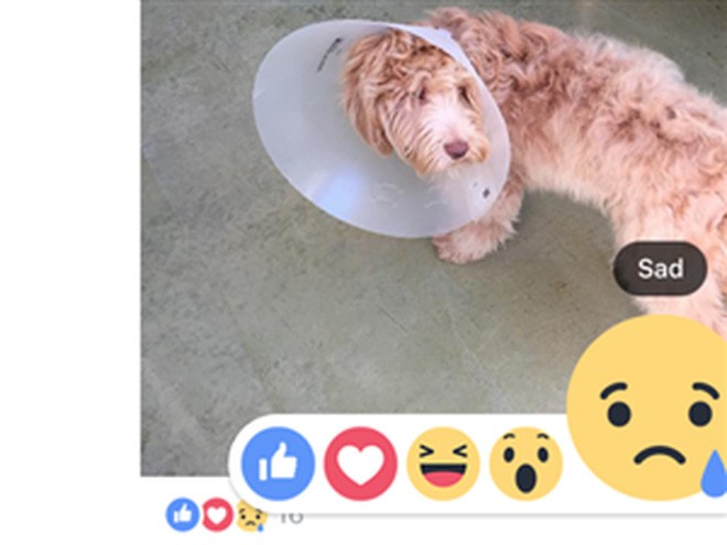 Facebook ra Like, Love, Haha, Wow, Sad, Angry trên toàn cầu, có cả Việt Nam