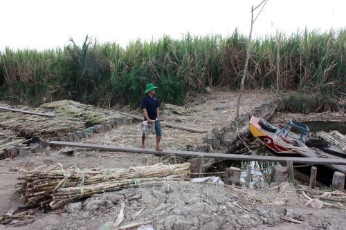Đập thủy điện Trung Quốc xây trên sông Mekong: Hạ lưu “lãnh đủ” ảnh 1 Đập thủy điện Trung Quốc xây trên sông Mekong: Hạ lưu “lãnh đủ” ảnh 1