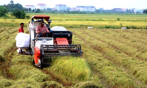 Chưa lo thiếu lương thực Đồng bằng sông Cửu Long (ĐBSCL) là vựa lúa của cả nước. Vụ đông xuân 2015 -2016, khu vực này gieo cấy 1,5 triệu ha thì đã có 1/3 diện tích bị ảnh hưởng của hạn hán và xâm nhập mặn. Trong đó, trên có 150.000 ha bị thiệt hại nặng (