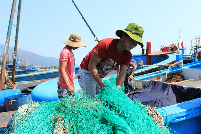 Tàu cá ngư dân Đà Nẵng cập cảng Thọ Quang sau chuyến đánh bắt xa bờ- Ảnh: Lê Đình Dũng. Tàu cá ngư dân Đà Nẵng cập cảng Thọ Quang sau chuyến đánh bắt xa bờ- Ảnh: Lê Đình Dũng.