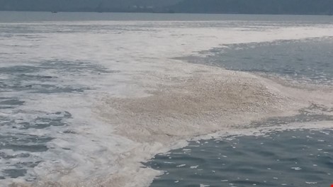 Công bố kết luận kiểm tra môi trường nhiệt điện Vũng Áng 1 ảnh 1 Công bố kết luận kiểm tra môi trường nhiệt điện Vũng Áng 1 ảnh 1