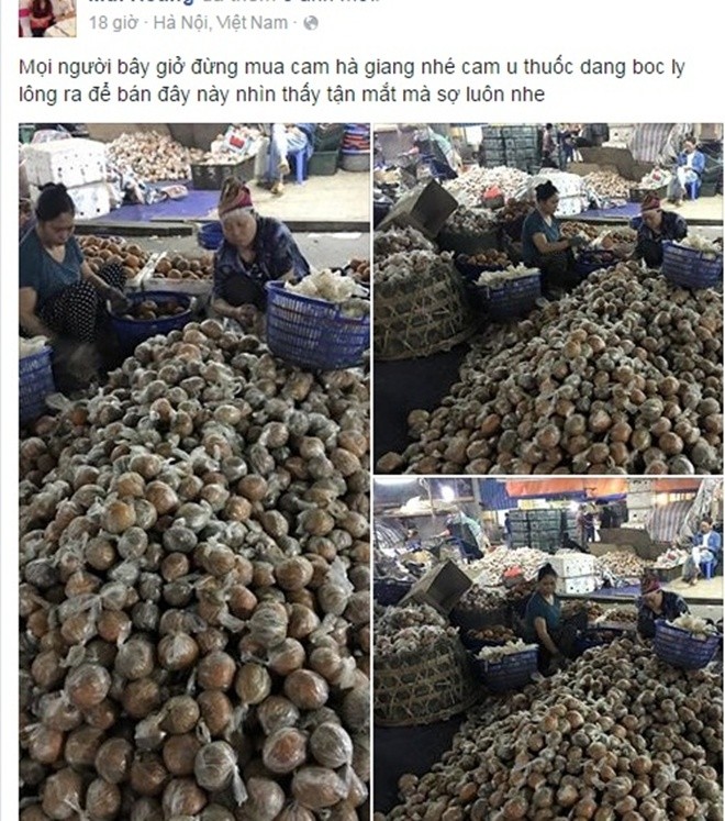 Khi đám đông Facebook lú lẫn: Sự im lặng bấm nút like của bầy cừu! ảnh 3