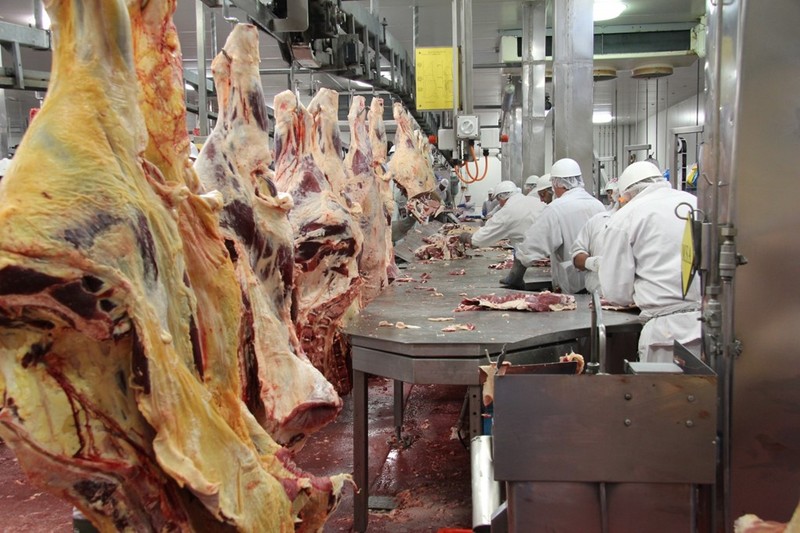 Sau quá trình giết mổ, thanh tra an toàn thực phẩm tiếp tục kiểm tra xem thịt của nó có phù hợp với nhu cầu tiêu thụ của con người hay không. Nếu không phù hợp, số thịt này có thể được chế biến làm thức ăn động vật, chế phẩm y tế hoặc bị đem đi tiêu hủy. Ảnh:Jesspryles.com