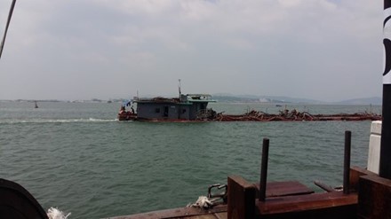 Việc khai thác cát trái phép ồ ạt không chỉ phá hủy hệ sinh thái khu vực, gây mất an ninh trật tự và thất thoát tài nguyên khoáng sản quốc gia.