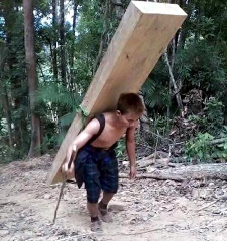 Quãng đường 6 km, mỗi phách gỗ được trả khoảng 250.000đồng tiền vận chuyển. Ảnh:Người dân cung cấp. Quãng đường 6 km, mỗi phách gỗ được trả khoảng 250.000đồng tiền vận chuyển. Ảnh:Người dân cung cấp.