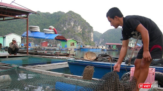 TS Graham Brookes: "Ứng dụng công nghệ sinh học đồng thời mang đến các tính trạng, đặc tính dinh dưỡng có lợi, có thể giúp bù đắp tình trạng suy giảm dinh dưỡng gây ra bởi biến đổi khí hậu"