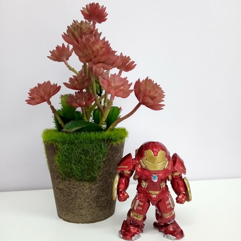 Trong điều kiện đủ ảnh sáng, những bức ảnh mà chiếc máy này đem lại khá sắc nét Ảnh chụp trong điều kiện đủ sáng