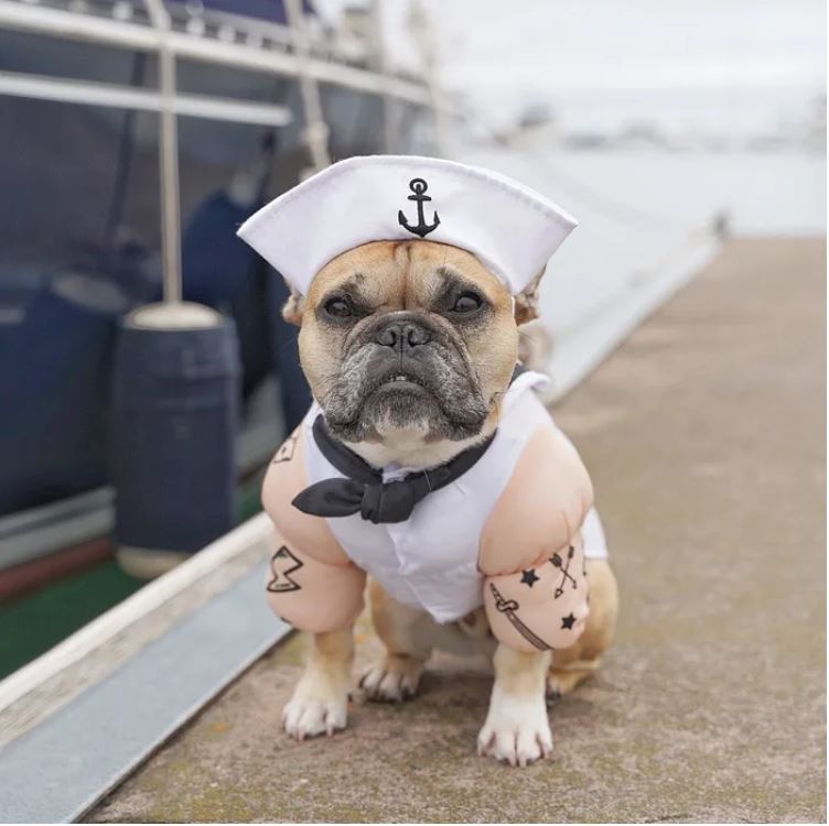 Ảnh:https://www.instagram.com/gusgusinthecity/