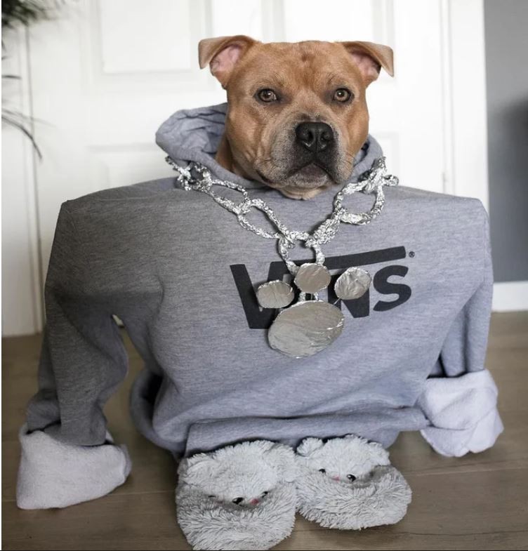 Ảnh: https://www.instagram.com/arnoldstaffzenegger/