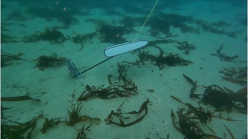 Ảnh: CNET Ảnh: CNET