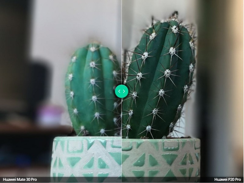 P20 Pro lấy tiền cảnh tốt hơn (Ảnh: Android Authority)