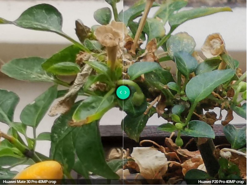 Ảnh: Android Authority