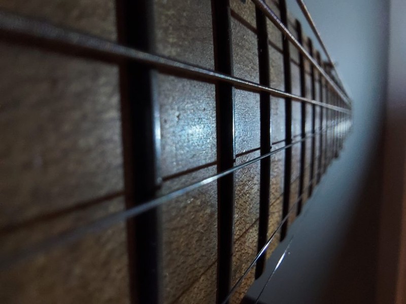 Bức ảnh macro chụp trong điều kiện thiếu sáng của S10 Lite (Ảnh: Android Authority)