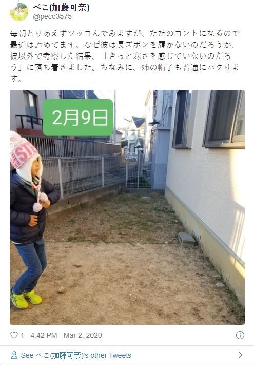 Cậu bé khoe thành quả của mình trên Twitter (Ảnh: @peco3575) Cậu bé khoe thành quả của mình trên Twitter (Ảnh: @peco3575)