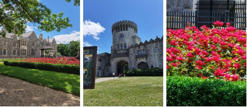 Những bức ảnh trên chiếc Huawei P40 Pro Plus cho màu sắc rực rỡ (Ảnh: Android Authority) Những bức ảnh trên chiếc Huawei P40 Pro Plus cho màu sắc rực rỡ (Ảnh: Android Authority)