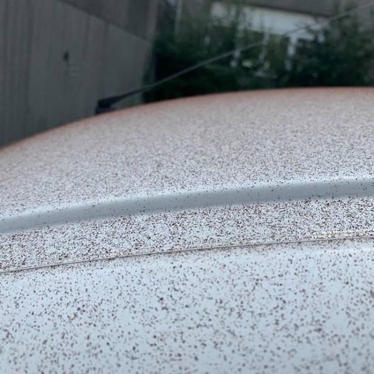 Bột socola bám đầy trên những chiếc ô tô tại thị trấn Olten, Thụy Sĩ (Ảnh: OC)