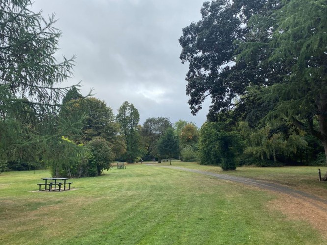 Ảnh chụp trong điều kiện đủ sáng trên iPhone 11 Pro (Ảnh: Tech Radar) Ảnh chụp trong điều kiện đủ sáng trên iPhone 11 Pro (Ảnh: Tech Radar)